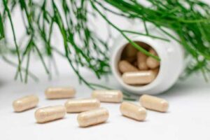 Natural herbal supplement capsules with plant background - nutritional wellness