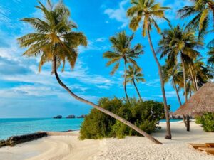 Tropical beach with palm trees and turquoise water - a perfect wellness vacation destination